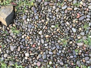 small pebbles with tufts of grass growing through them and a larger rock in the upper left