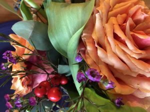 close up of red berries, small purple flowers, green smooth leaves, and a large peach rose